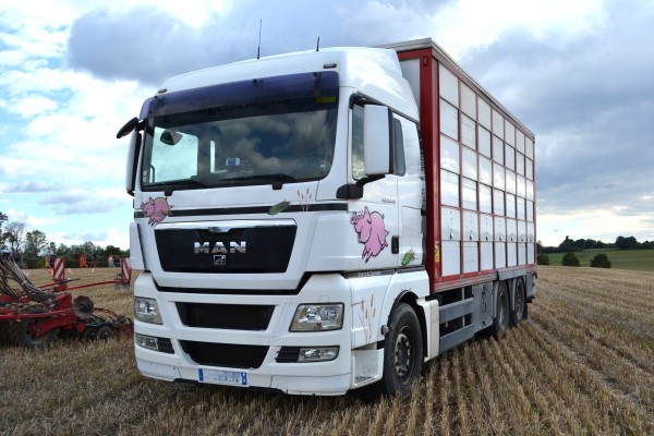 enfin-a-bon-porc-transport_img-4757.jpg