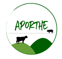 enfin-a-bon-porc-sinstaller-se-diversifier-transmettre_sans-titre-4-1.png